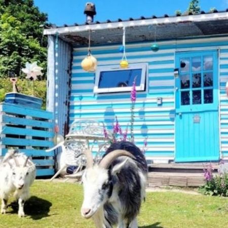 Treguth Glamping Unique Experience - Themed Huts Hotel Saint Day Eksteriør billede