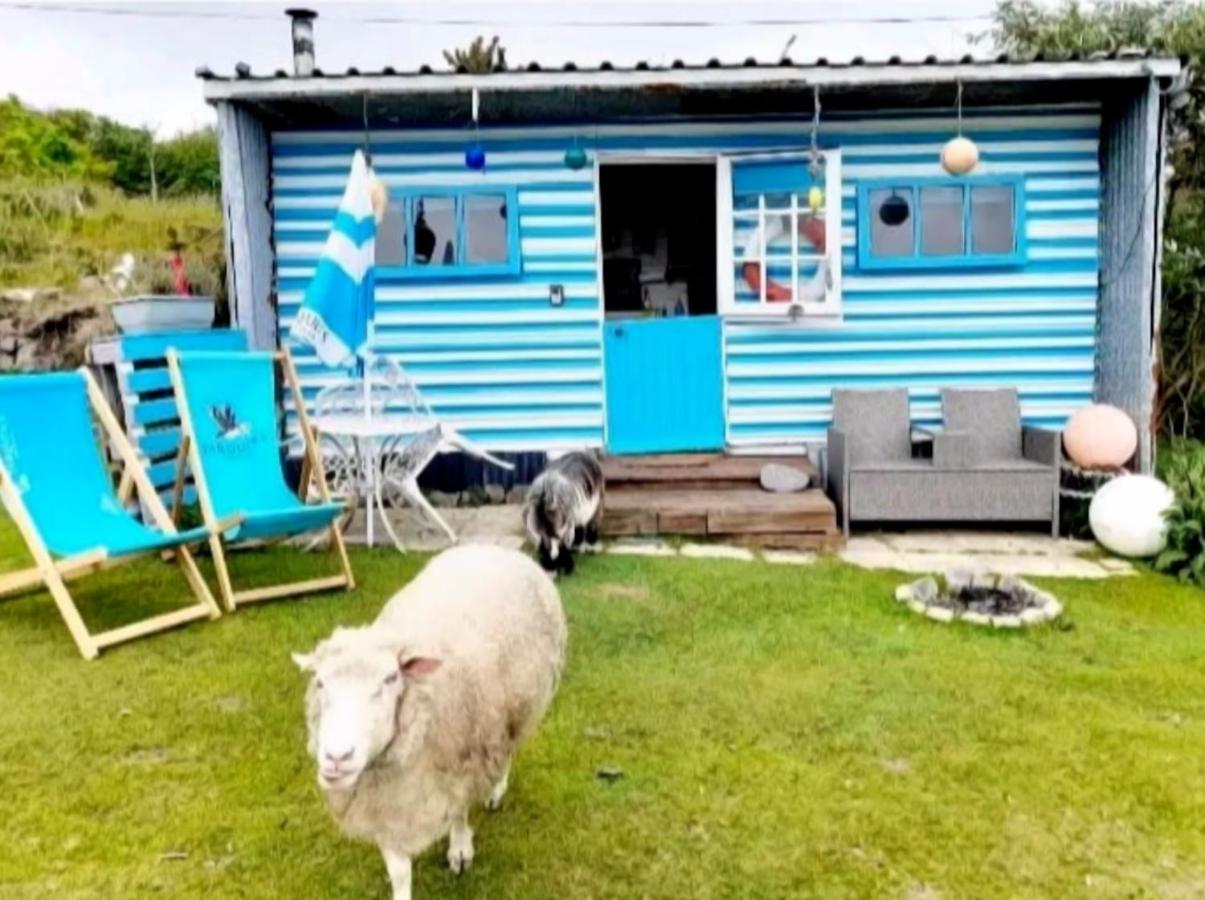 Treguth Glamping Unique Experience - Themed Huts Hotel Saint Day Eksteriør billede
