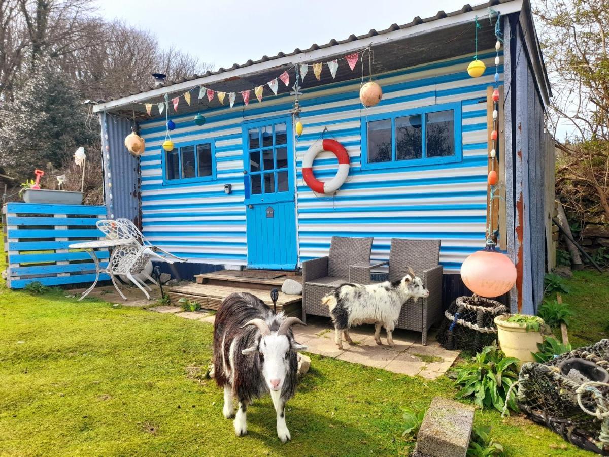 Treguth Glamping Unique Experience - Themed Huts Hotel Saint Day Eksteriør billede