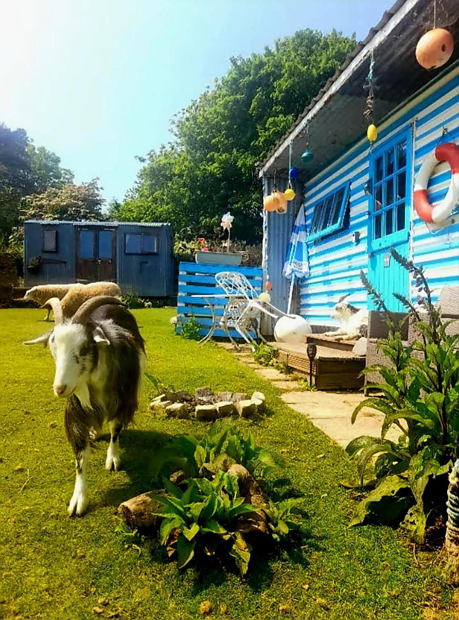 Treguth Glamping Unique Experience - Themed Huts Hotel Saint Day Eksteriør billede