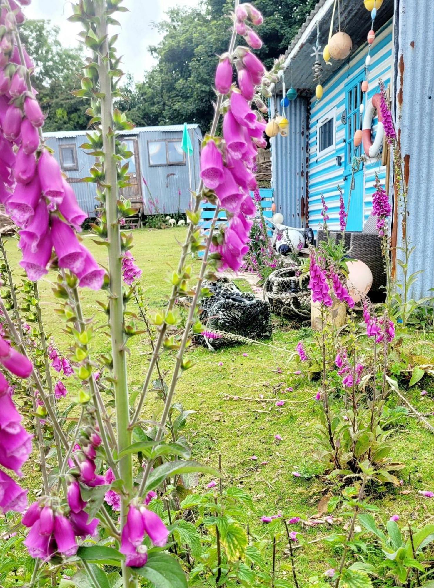 Treguth Glamping Unique Experience - Themed Huts Hotel Saint Day Eksteriør billede