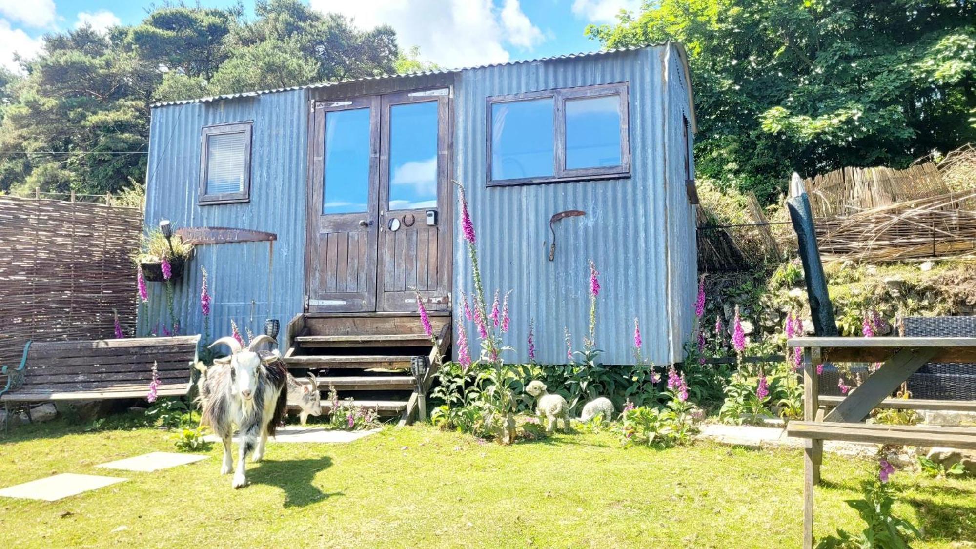 Treguth Glamping Unique Experience - Themed Huts Hotel Saint Day Eksteriør billede