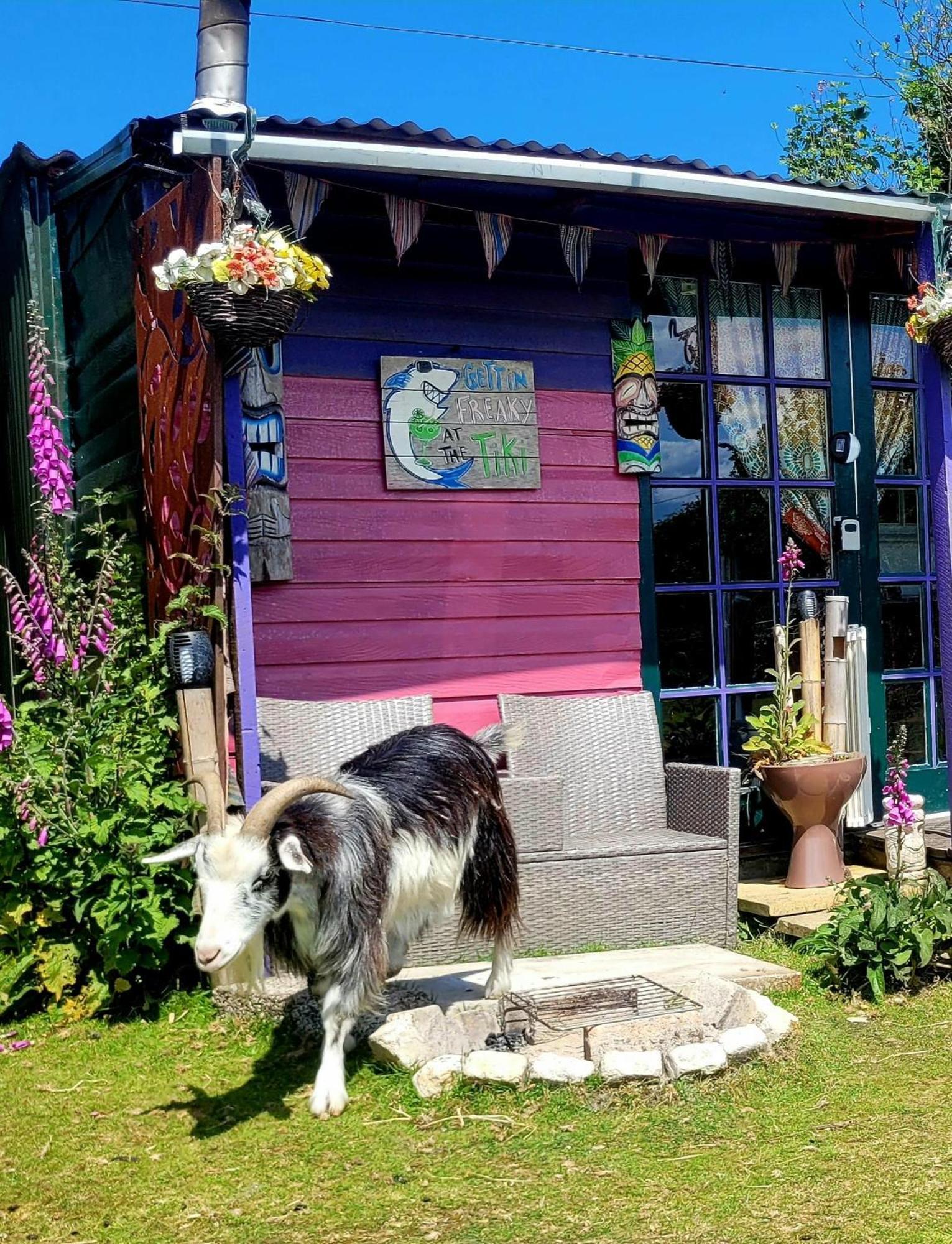 Treguth Glamping Unique Experience - Themed Huts Hotel Saint Day Eksteriør billede
