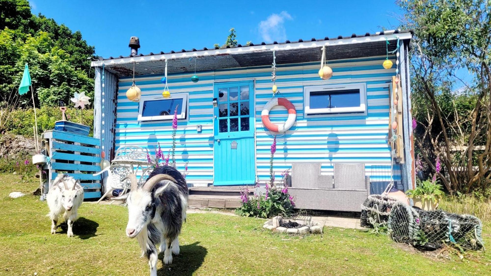 Treguth Glamping Unique Experience - Themed Huts Hotel Saint Day Eksteriør billede