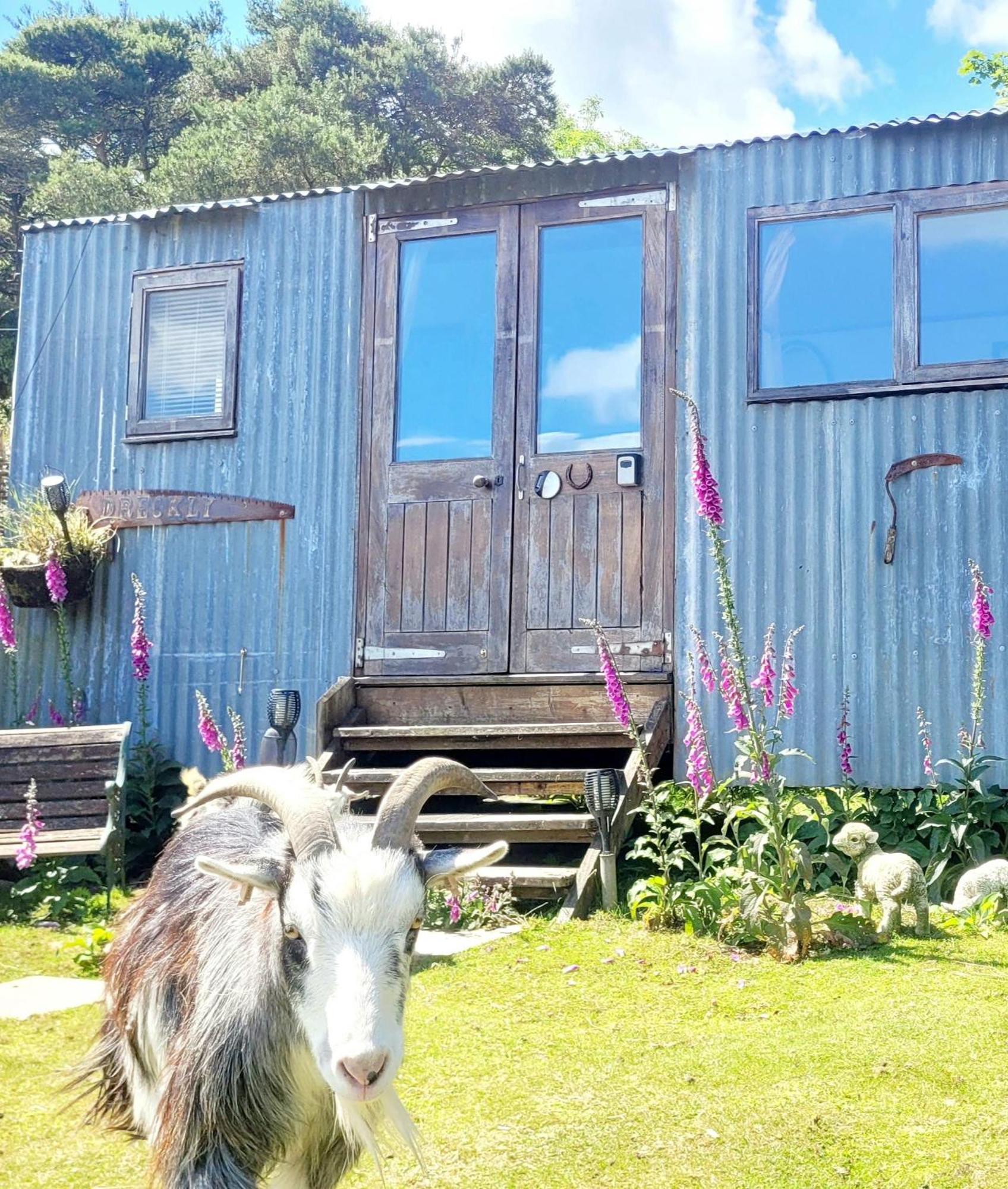 Treguth Glamping Unique Experience - Themed Huts Hotel Saint Day Eksteriør billede
