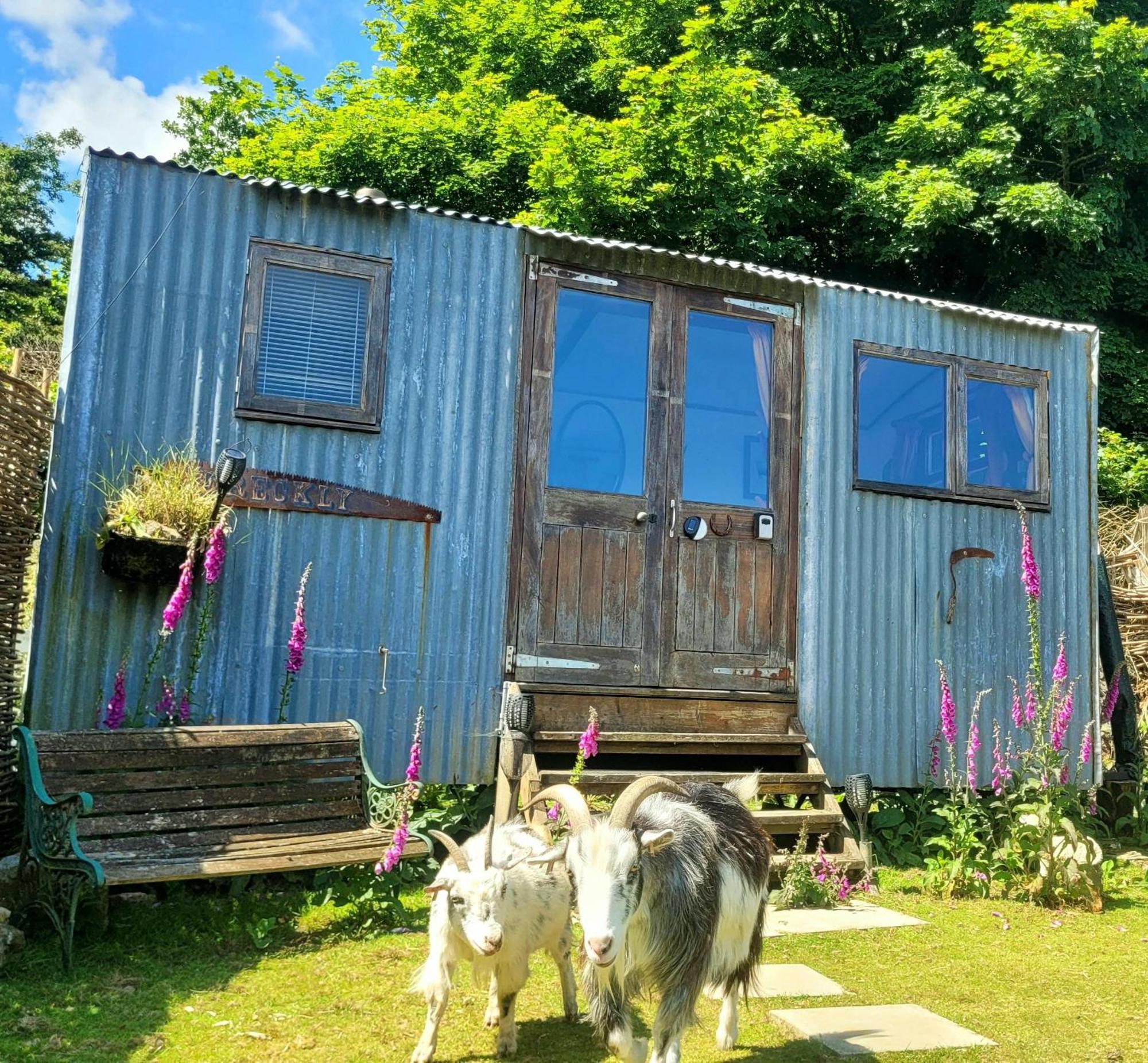 Treguth Glamping Unique Experience - Themed Huts Hotel Saint Day Eksteriør billede