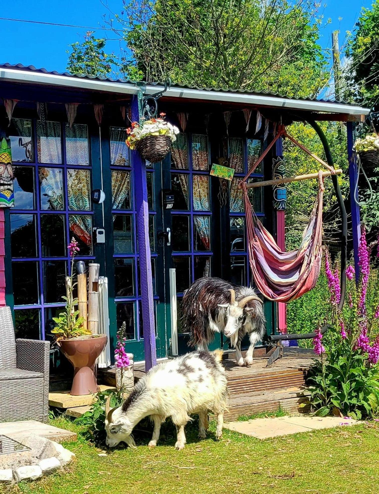 Treguth Glamping Unique Experience - Themed Huts Hotel Saint Day Eksteriør billede