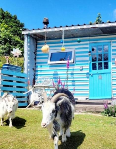 Treguth Glamping Unique Experience - Themed Huts Hotel Saint Day Eksteriør billede